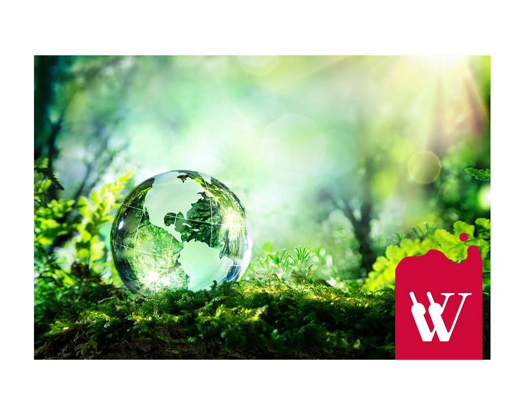 Wina biodynamiczne Wina biodynamiczne